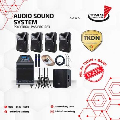 Audio Sound System Polytron Pas Pro12F3