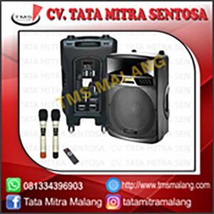 Portable Sound System KREZT WAS 8415