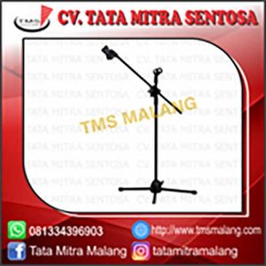 Stand Mic BSW WD200 Berdiri
